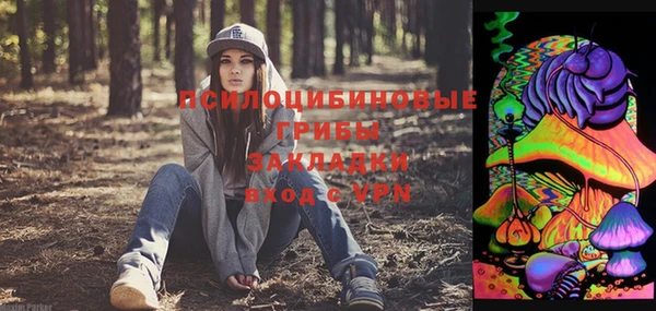 Альфа ПВП Кулебаки