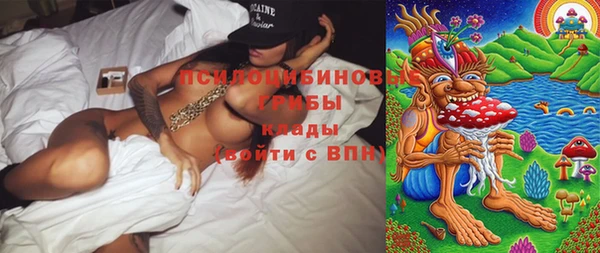 Альфа ПВП Кулебаки